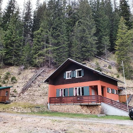 Вилла Auszeithuette Flattnitz Экстерьер фото